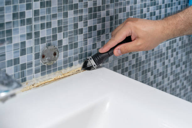 Best Bathroom Mold Remediation in Cedar Heights, MD